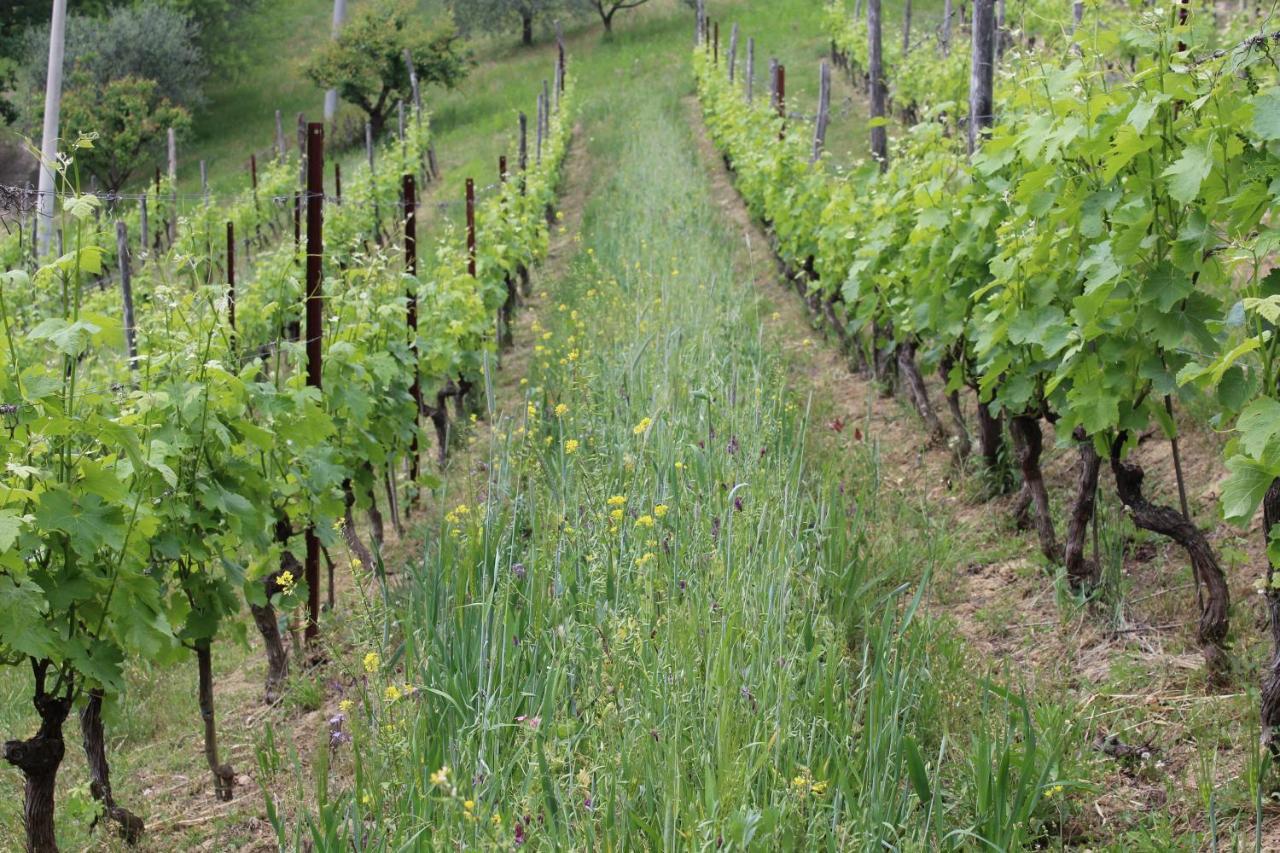 Agriturismo La Rovere Cossano Belbo المظهر الخارجي الصورة