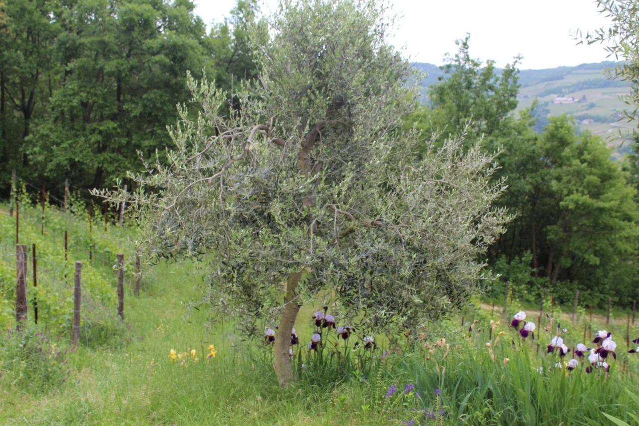 Agriturismo La Rovere Cossano Belbo المظهر الخارجي الصورة