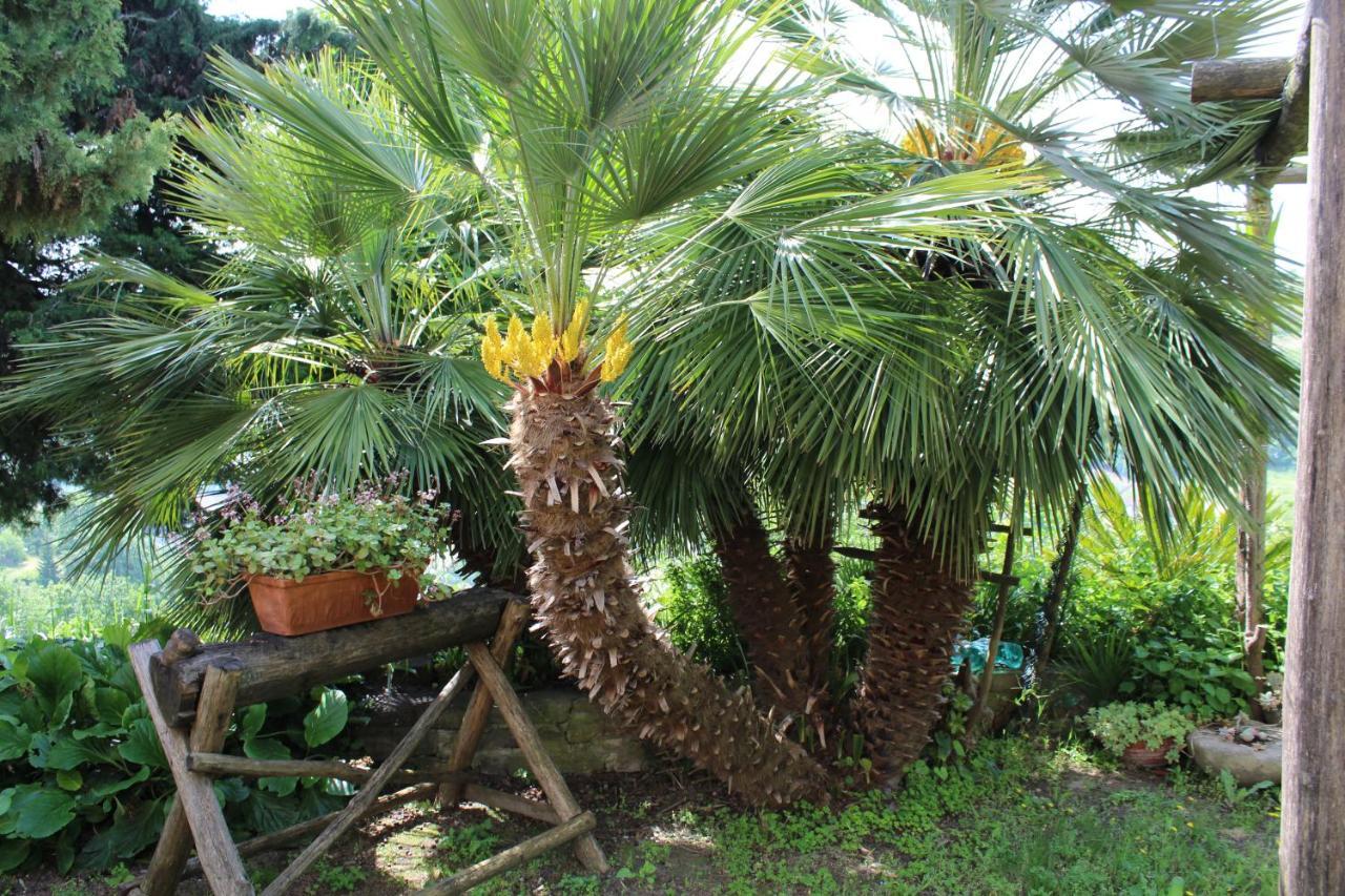 Agriturismo La Rovere Cossano Belbo المظهر الخارجي الصورة