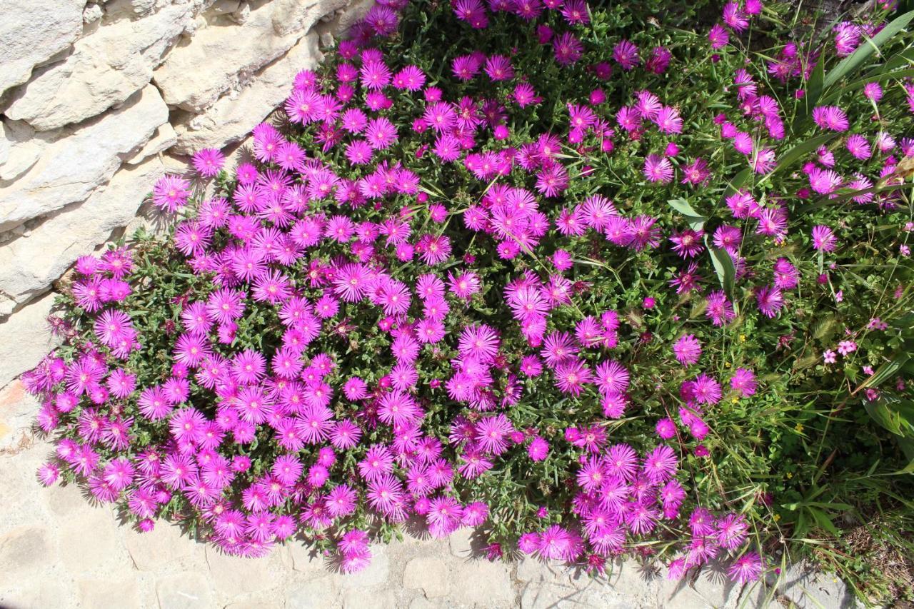 Agriturismo La Rovere Cossano Belbo المظهر الخارجي الصورة